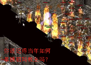 �㻹�ǵõ�����ε������������