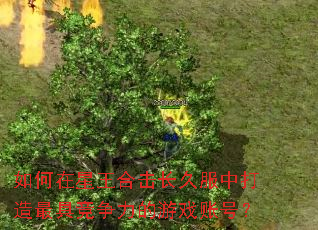 ����������ϻ����÷��д�����߾���������Ϸ�˺ţ�