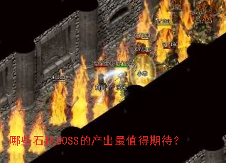 ��Щʯ��BOSS�Ĳ�����ֵ���ڴ���