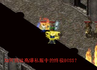 �����ս�߱�˽���е��ռ�BOSS��
