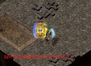 �����ս�߱�˽���е��ռ�BOSS��