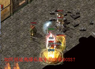 �����ս�߱�˽���е��ռ�BOSS��