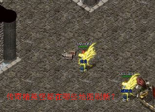 ���澫Ӣ�ֶ�����Щ��ͼˢ�£�