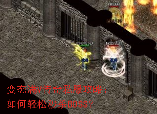 ��̬��V����˽�����ԣ����������ɱBOSS��