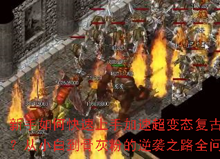 ������ο������ּ��ٳ���̬���Ŵ��棿��С�׵��ǻҷ۵���Ϯ֮·ȫ�ʴ�