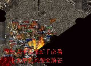 传奇点卡私服新手必看?十大常见问题全解答 传奇点卡私服新手必看?十大常见问题全解答