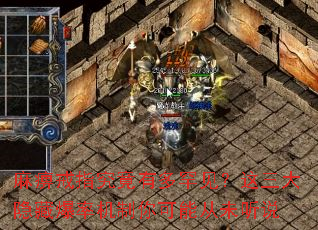 麻痹戒指究竟有多罕见?这三大隐藏爆率机制你可能从未听说 麻痹戒指究竟有多罕见?这三大隐藏爆率机制你可能从未听说