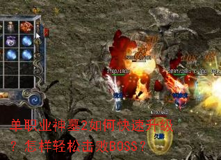 ��ְҵ��Ĺ2��ο����������������ɻ���BOSS��