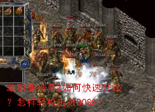 ��ְҵ��Ĺ2��ο����������������ɻ���BOSS��