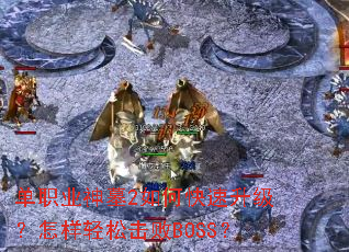 ��ְҵ��Ĺ2��ο����������������ɻ���BOSS��