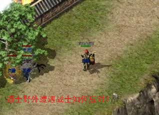 ��ʿҰ������սʿ���Ӧ�ԣ�