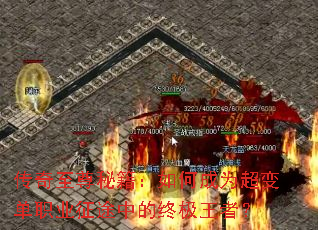 ���������ؼ�����γ�Ϊ���䵥ְҵ��;�е��ռ����ߣ�