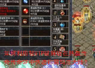 ���������VIP�ƽ������Ѫ���洫��SF�п��ٳư��귨��½��