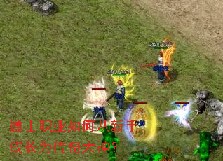道士职业如何从新手成长为传奇大神? 道士职业如何从新手成长为传奇大神?