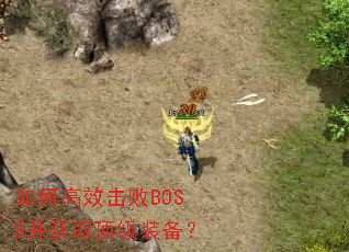 如何高效击败BOSS并获取顶级装备? 如何高效击败BOSS并获取顶级装备?