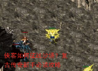 ���������սɳ�������Ŵ������ֱض�����