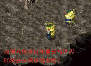 ��θ�Ч��ս���Ĵ�������BOSS����ȡ��ϡ������