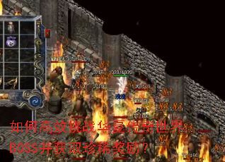 ��θ�Ч��ս���Ĵ�������BOSS����ȡ��ϡ������