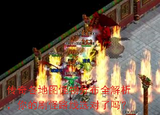 �������ͼ����ֲ�ȫ���������ˢ��·��ѡ������
