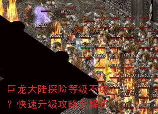 巨龙大陆探险等级不够?快速升级攻略全解析 巨龙大陆探险等级不够?快速升级攻略全解析