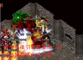 ����˽����������Щ�����ѡ�����ʺϵ����棿