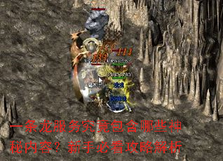 一条龙服务究竟包含哪些神秘内容?新手必看攻略解析 一条龙服务究竟包含哪些神秘内容?新手必看攻略解析