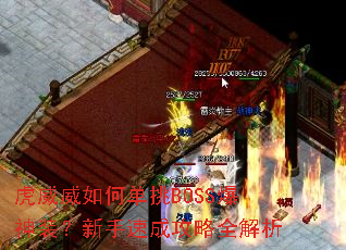 ��������ε���BOSS����װ�������ٳɹ���ȫ����