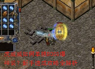 ��������ε���BOSS����װ�������ٳɹ���ȫ����