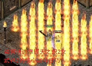 如何快速掌握天之炽2女武神2的核心战斗技巧? 如何快速掌握天之炽2女武神2的核心战斗技巧?