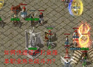如何快速提升打金服单职业角色战斗力? 如何快速提升打金服单职业角色战斗力?