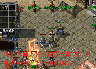 ������¿����������ս��������Щ��������������BOSS��