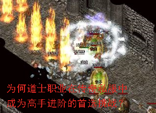 Ϊ�ε�ʿְҵ�ڴ���˽���г�Ϊ���ֽ��׵���ѡ��ս��