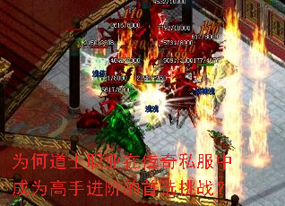 Ϊ�ε�ʿְҵ�ڴ���˽���г�Ϊ���ֽ��׵���ѡ��ս��