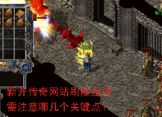 �¿�������վˢ��������ע���ļ����ؼ��㣿