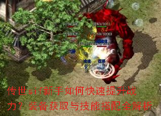 传世sif新手如何快速提升战力?装备获取与技能搭配全解析 传世sif新手如何快速提升战力?装备获取与技能搭配全解析