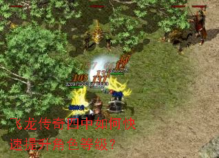 飞龙传奇四中如何快速提升角色等级? 飞龙传奇四中如何快速提升角色等级?