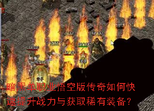 ���ڵ�ְҵ��հ洫����ο�������ս�����ȡϡ��װ����