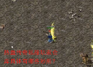 ��Ѫ����˽����Ҳֿ��������Щ���ã�