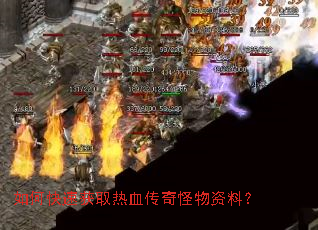 如何快速获取热血传奇怪物资料? 如何快速获取热血传奇怪物资料?