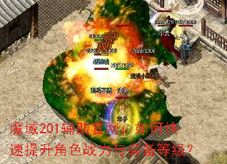 ħ��201������������ο���������ɫս����װ���ȼ���